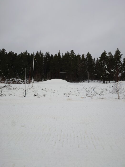 Snötäckt landskap framför en skog med vinterklädda träd och en flaggstång. Marken är täckt av orörd snö under en grå himmel.