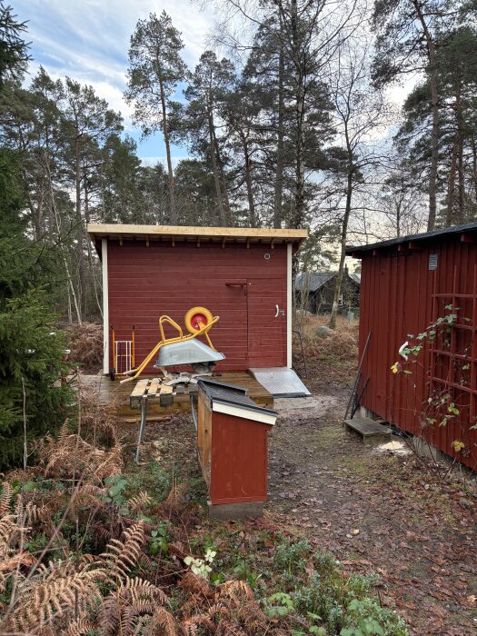 Rött uthus under takbyte med ny takpapp och vindskivor. Omkring står byggmaterial och verktyg. Omgivet av tallar och natur.