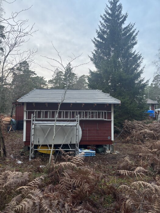 Rött hus med ny takpapp, vindskivor och ställning i en skogsmiljö. Vitmålad dörr och stor gran i bakgrunden.