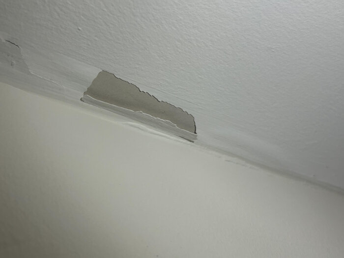 Färg som släppt från väggen vid taket, med sprickor och bubblor, avslöjar underliggande lager.