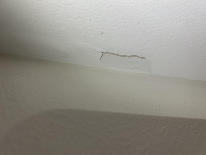 Färg som släppt från väggen nära taket, med sprickor och en bit avskalad färg synlig.