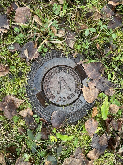 Gjutet metallock i marken, omringat av löv, med texten "ESCO" och en pil.