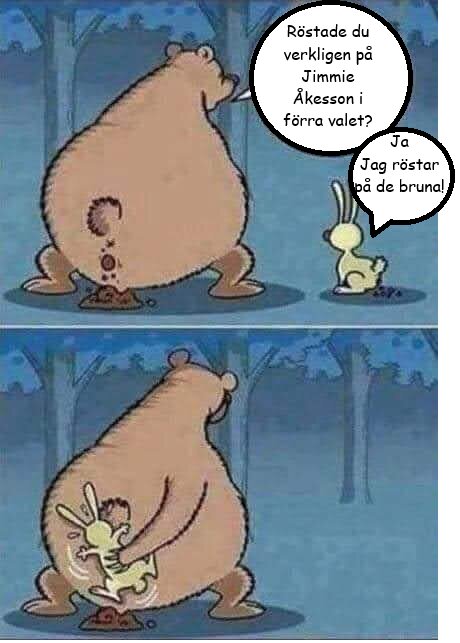 Tecknad serie med en björn och en kanin som diskuterar politik. Björnen är upprörd, och kaninen refererar till att rösta på "de bruna".