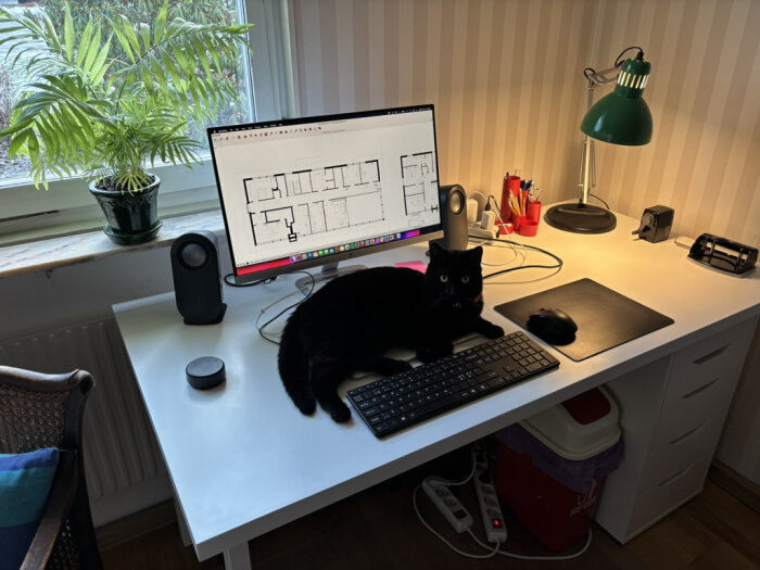 Svart katt sitter på skrivbord framför skärm med byggplaner.