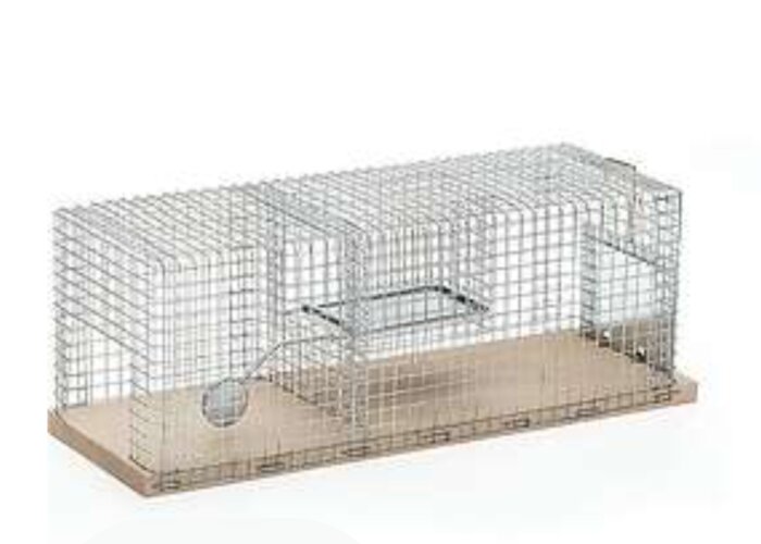 Metallfälla med vippbräda inuti, designad för att fånga möss när de kliver ner för att nå betet under brädan.