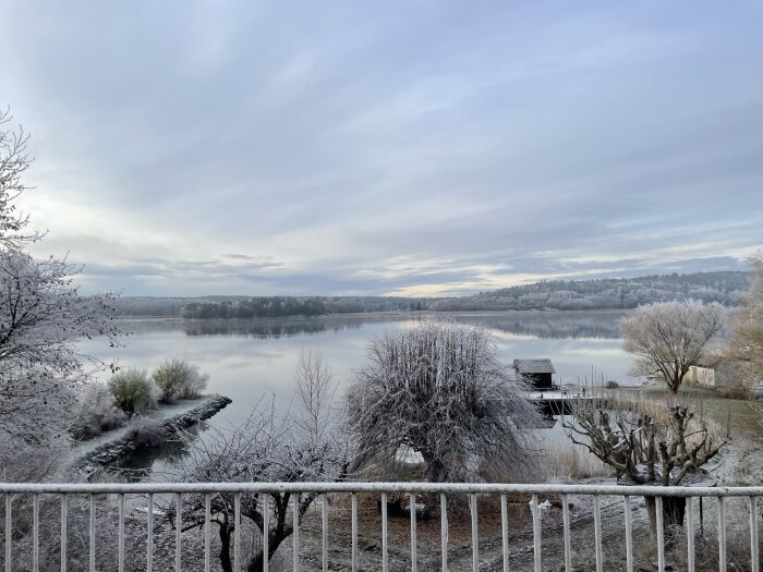 Vinterlandskap med frostiga träd vid en sjö, en brygga och ett litet skjul, sett från en balkong med räcke i förgrunden.