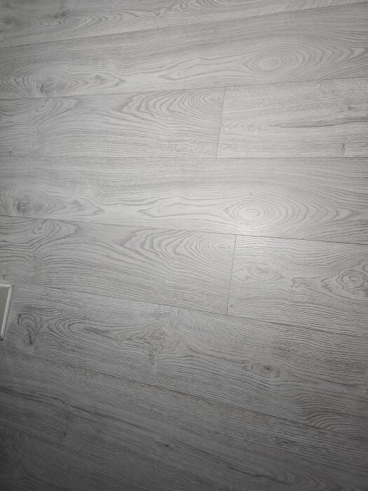 Ljust laminatgolv med träådring och matt yta, beskrivet som hög kvalitet trots tidigare vattenskador på annat material.