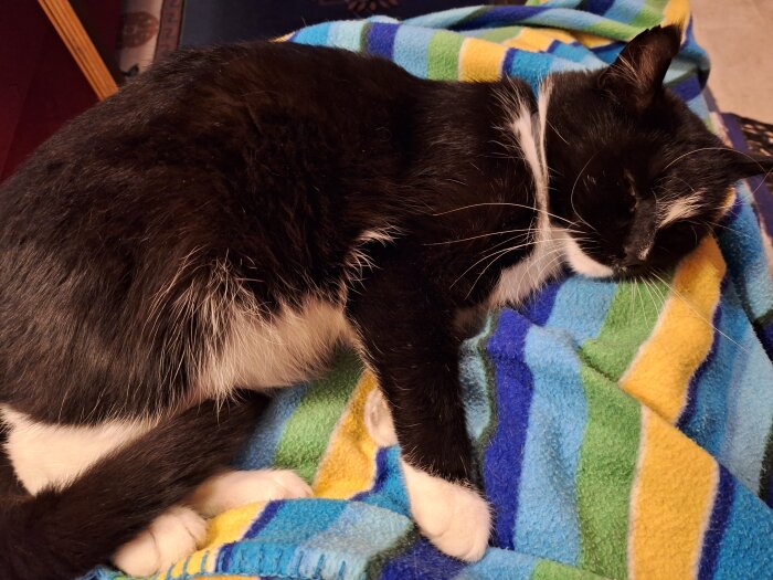 En svartvit katt sover på en färgglad filt med ränder i blått, grönt och gult.