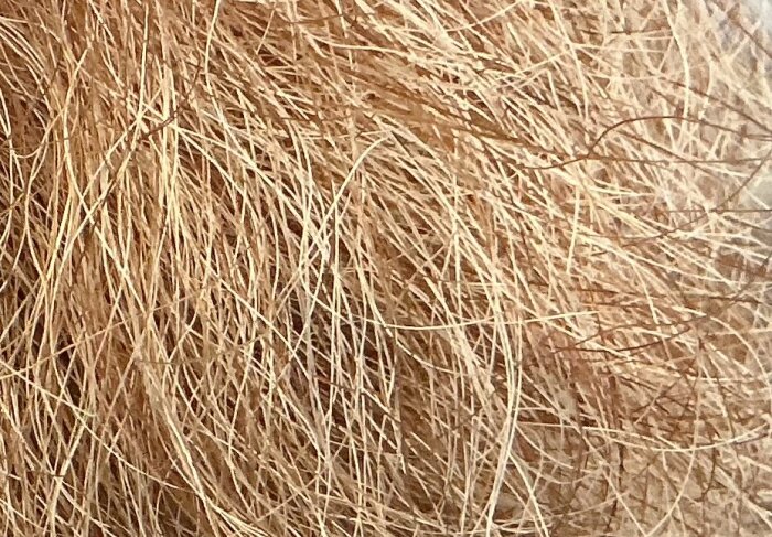 Material med tunna, bruna fibrer i närbild, potentiellt asbest eller glasfiber funnet under golv.