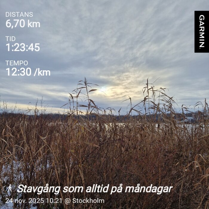 Vinterlandskap med högt gräs i förgrunden och en mulen himmel. Text på bilden: Distans 6,70 km, tid 1:23:45, tempo 12:30/km, Stockholm.