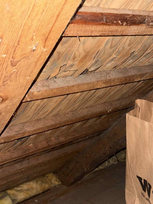 Vind med synliga träbjälkar, några med mörka fläckar, isolering synlig mellan takstolarna och en papperspåse längst ner till höger.