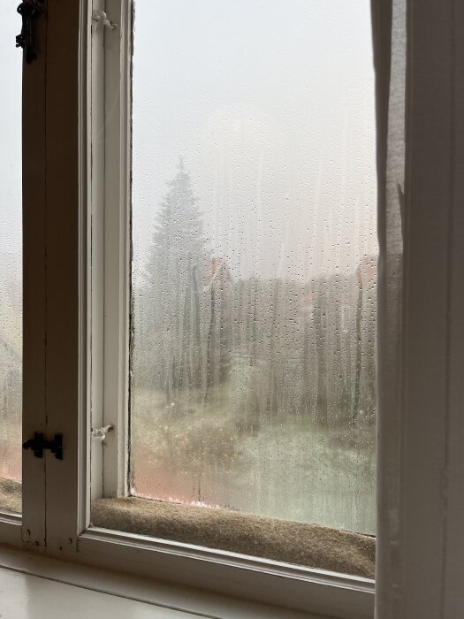 Fönster med kondens och droppande vatten, utsikt över grå mulen himmel och träd utanför.