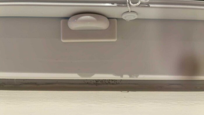 Insekter under fönsterkarmen i ett hus från 1970 med nyligen monterade fönster, främst synliga vid ett fönster på renoveringsgipsvägg.