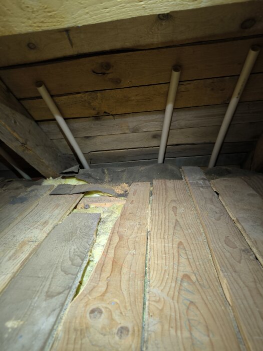 Rörstumpar som sticker upp från en trävägg på en kallvind, tillsammans med träplankor och isolering.