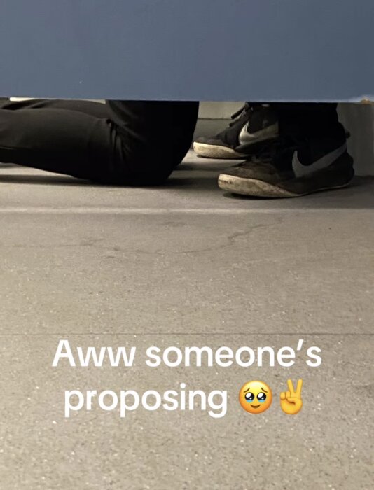 Person på knä vid toalettbås med fötter synliga under dörren; text på bilden säger "Aww someone's proposing" med emojis.