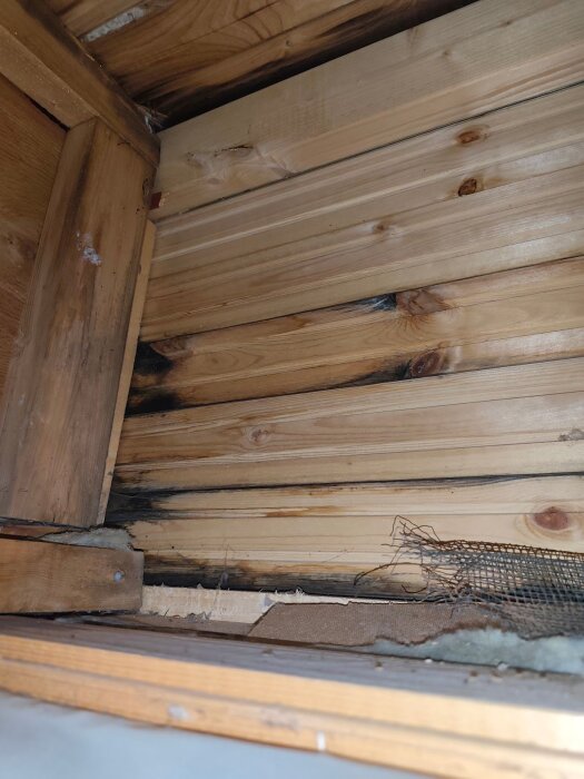 Trätak i sovrum med svartmögelliknande fläckar trots behandlad yta, inga tecken på hög fuktighet eller röta i träets struktur.