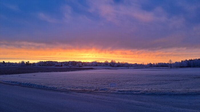 Winter landscape at sunrise with frosty fields and trees, under a colorful sky transitioning from orange to blue.