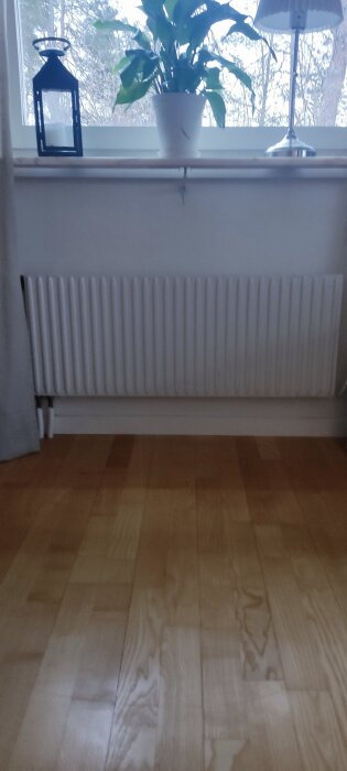 Vitt enkelradigt element under fönster med en krukväxt och lampa på fönsterbrädan. Ljust trägolv intill.