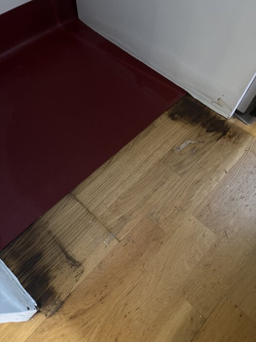 Vattenskador på träparkett vid sidan av kylskåpet, mörka fläckar vid kanten och röd matta synlig.