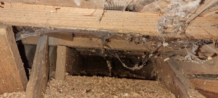 Snedtak med synliga bjälkar och spindelväv, visar avsaknad av isolering i ett rum på övervåningen.