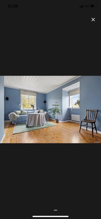 Blått sovrum med vita tak, två fönster och ljus inredning, inklusive soffa, plantor och en stol.