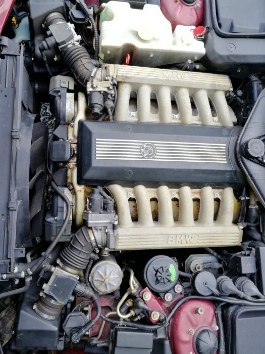 Motorrummet på en BMW 750 från 1990 med V12-motor, visande motorns detaljer och komponenter.