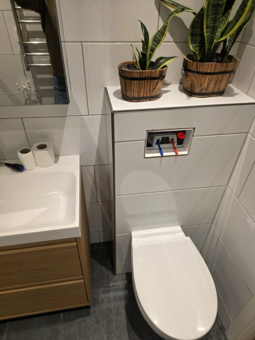 Vitt badrum med toalett och handfat. Två gröna växter i trätunnor ovanpå cistern. Blå och röd vattenkoppling synlig.