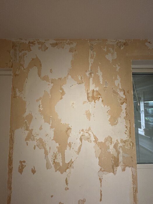 Vägg med borttagen tapet, beige bruna pappersrester kvar, visar ojämn yta efter applicering av primer i ett renoveringsprojekt i vardagsrum.