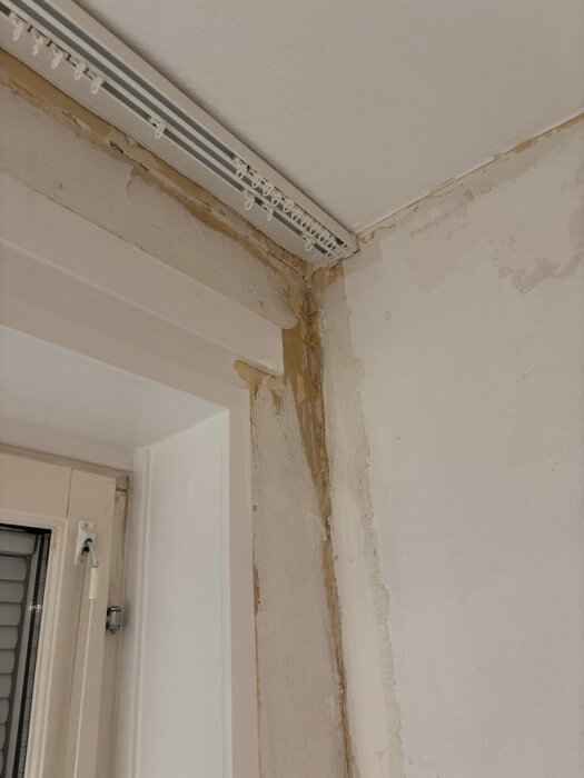 Vägg med borttagen gammal tapet, synliga lösa tapetrester och applicerad primer nära ett fönster och gardinskena i ett vardagsrum.