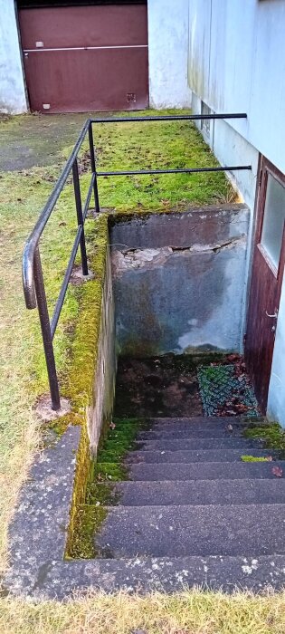 Källartrappa med betongväggar och dörr, omgiven av mossa och gräs.