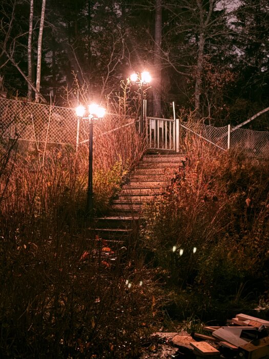 Trädgårdstrappa med belysning vid skymning, omgiven av buskage och träd, med plankor och verktyg i förgrunden och stängsel i bakgrunden.