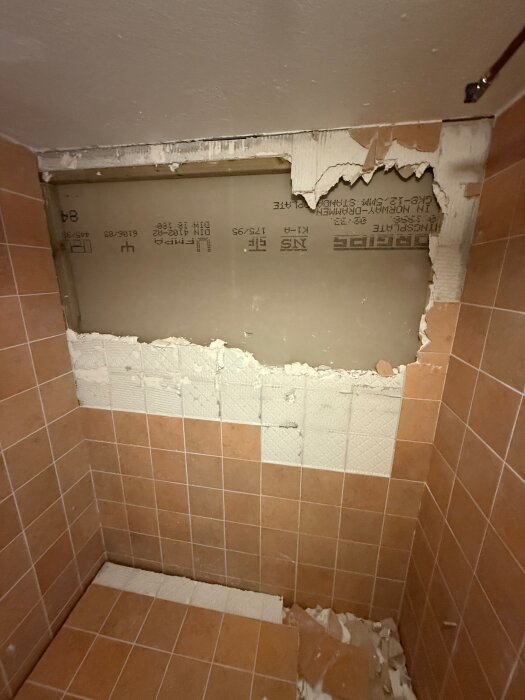 Rivet källarbadrum med exponerad gipsvägg, där delar av det gamla kaklet och materialet är avlägsnat, visar plats för förbättring.