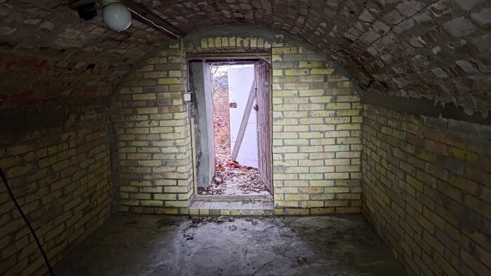 Gul tegelkällare med valvformigt tak och trädörr som står öppen mot en lövtäckt mark utanför.