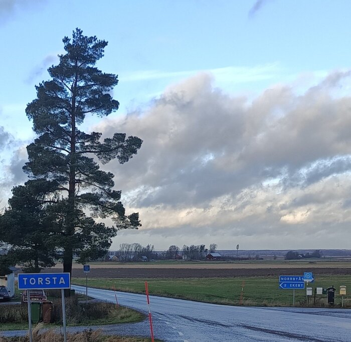 Vägkorsning med skyltar som pekar mot Torsta, Norrbyås och Ekeby, under en molnig himmel med ett stort träd i förgrunden.