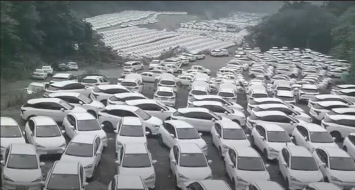 Öde bilpark med många vita bilar som står parkerade i rader i ett grått och dimmigt landskap. Bilarna ser oanvända ut.