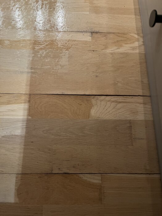 Parkettgolv med förhöjda brädor och fläckar efter vattenskål, reflektioner av ljus syns på ytan.