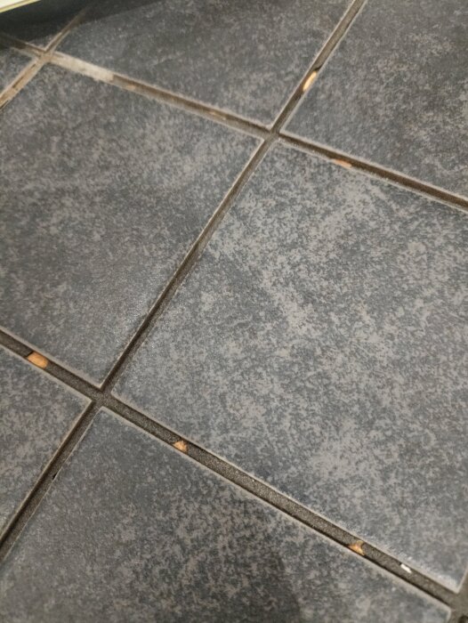 Svarta kakelplattor med synliga sprickor i fogen mellan plattorna.