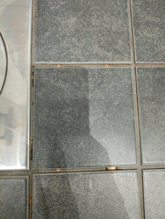 Klinkergolv med synliga sprickor och slitet fogmaterial.