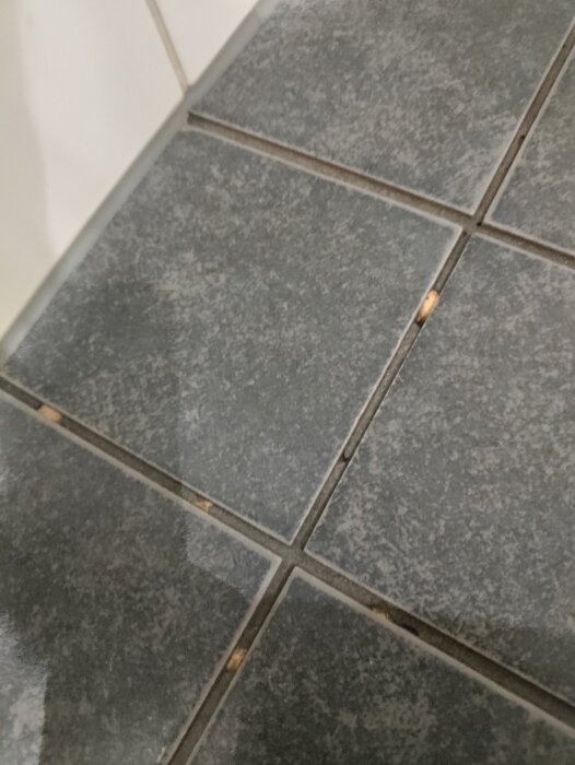 Sprickor i gråa klinkerplattor på golvet i hörn, med synliga skador i fogarna.