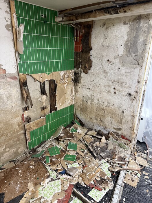 Rivningsprojekt i källardusch: trasiga gröna kakelplattor på golv och vägg, ruttna träkarmar, exponerade rör och en fuktig vägg.