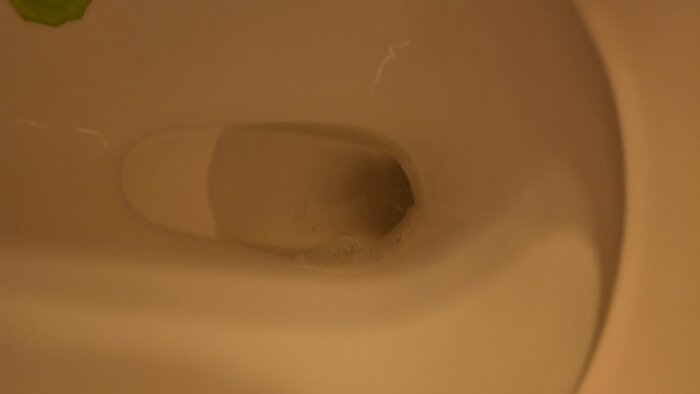 Närbild av en toalettstol med vattenlås, delvis dold av vatten, diskussion om design och synlighet.