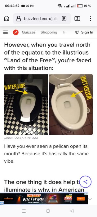 Två toaletter med vattenlinjer markerade, visar skillnaden mellan toalettmodeller i olika länder enligt texten. En har låg vattennivå, den andra högre.