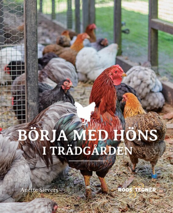 Flera höns i en inhägnad, varav en röd tupp i förgrunden, med texten "Börja med höns i trädgården" på bilden.