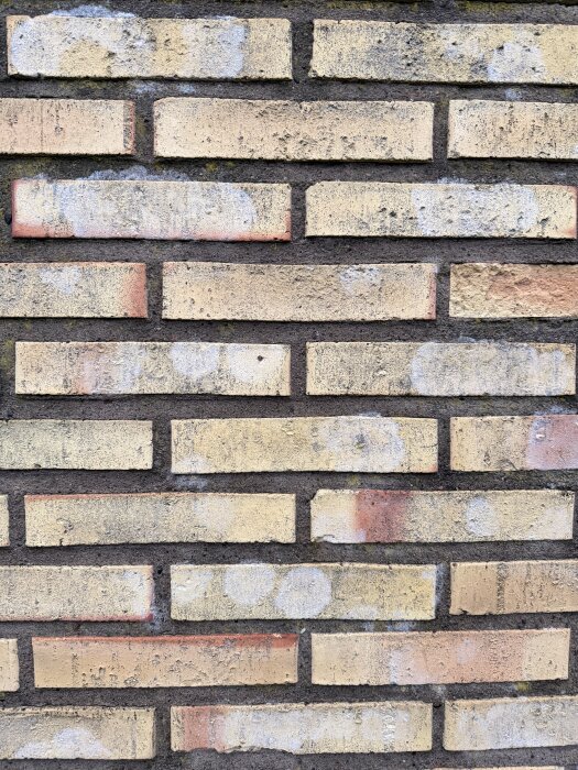 Vita runda fläckar på en tegelväggsfasad, koncentrerade i mitten men utspridda över hela ytan.