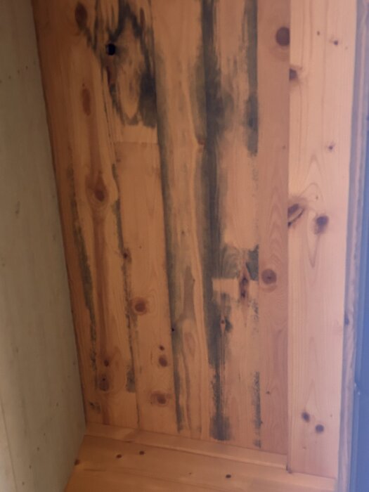 Träpanel med mörk missfärgning och fläckar, troligen mögel, på takutsprång efter behandling med olja.