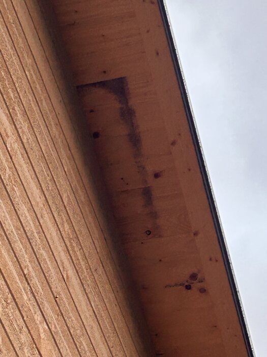 Mörka fläckar och mögelangrepp på ett trätakutsprång på ett hus, synliga på flera enskilda plankor.
