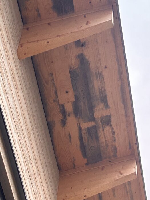 Träfasad med mörka fläckar och mögelliknande angrepp under takutsprång, synliga på flera plankor.