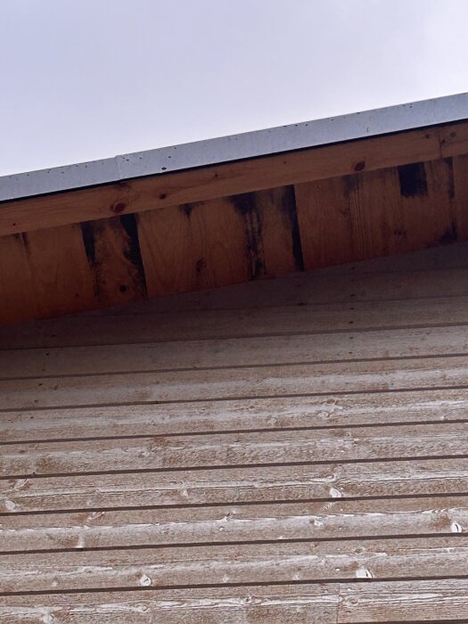 Trätak med svart mögelpåväxt, synligt på flera plankor vid husets takutsprång.