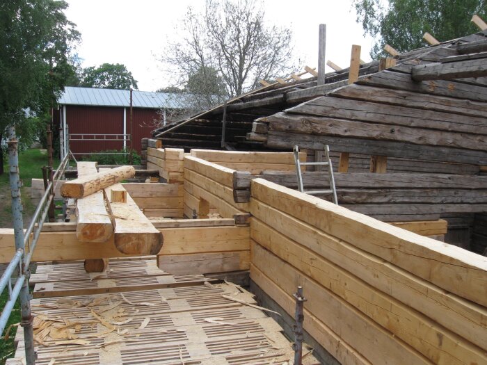 Byggarbetsplats med timmerstockar, ställningar och en stege i träkonstruktionens tidiga skede, omgivna av träd och en röd byggnad.