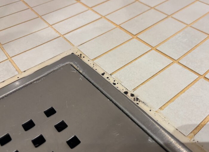 Silikonfog med svarta prickar runt en golvbrunn, eventuellt mögel, mellan ljusa kakelplattor i en dusch.